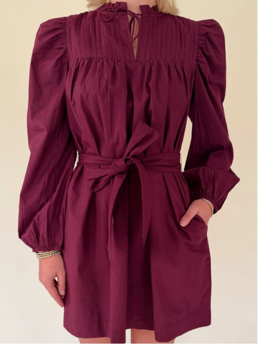 NWT Cleobella Ivana Mini Dress in Zinfandel XS